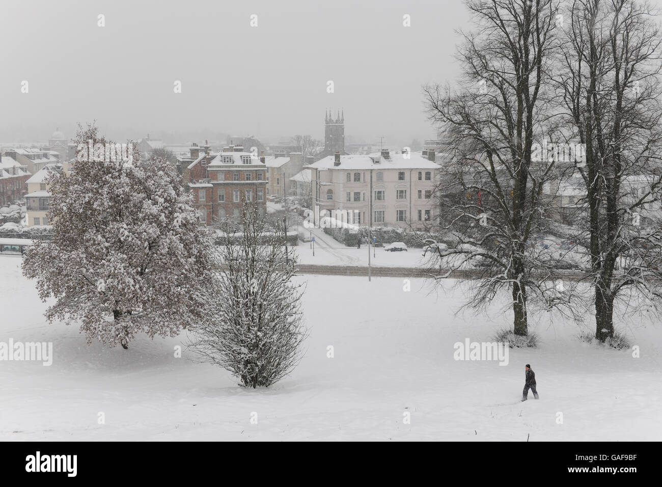 Uomo che cammina attraverso la neve in un parco a Tunbridge Wells, Kent, Regno Unito Foto Stock