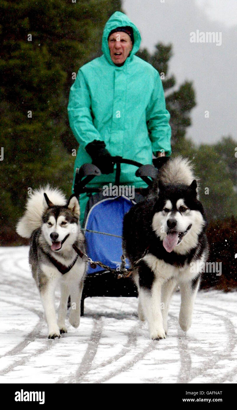 Un concorrente e i suoi Husky vicino a Loch Morlich prima del 25° Aviemore Sled Dog Rally che si svolge questo fine settimana. Foto Stock