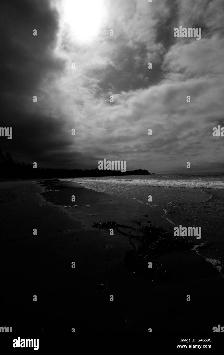 Florencia bay. Tofino. Isola di Vancouver. British Columbia. Canada Foto Stock