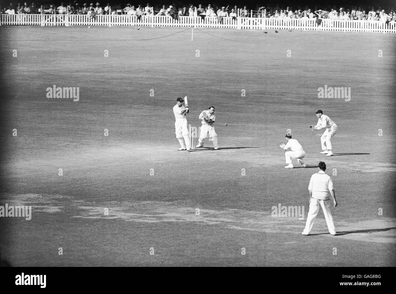 Jack Robertson di Middlesex (l) si avvicina una palla da Jim Laker di Surrey (fuori dalla foto) verso le slips, guardato dal wicketkeeper di Surrey Arthur McIntyre (secondo l) Foto Stock