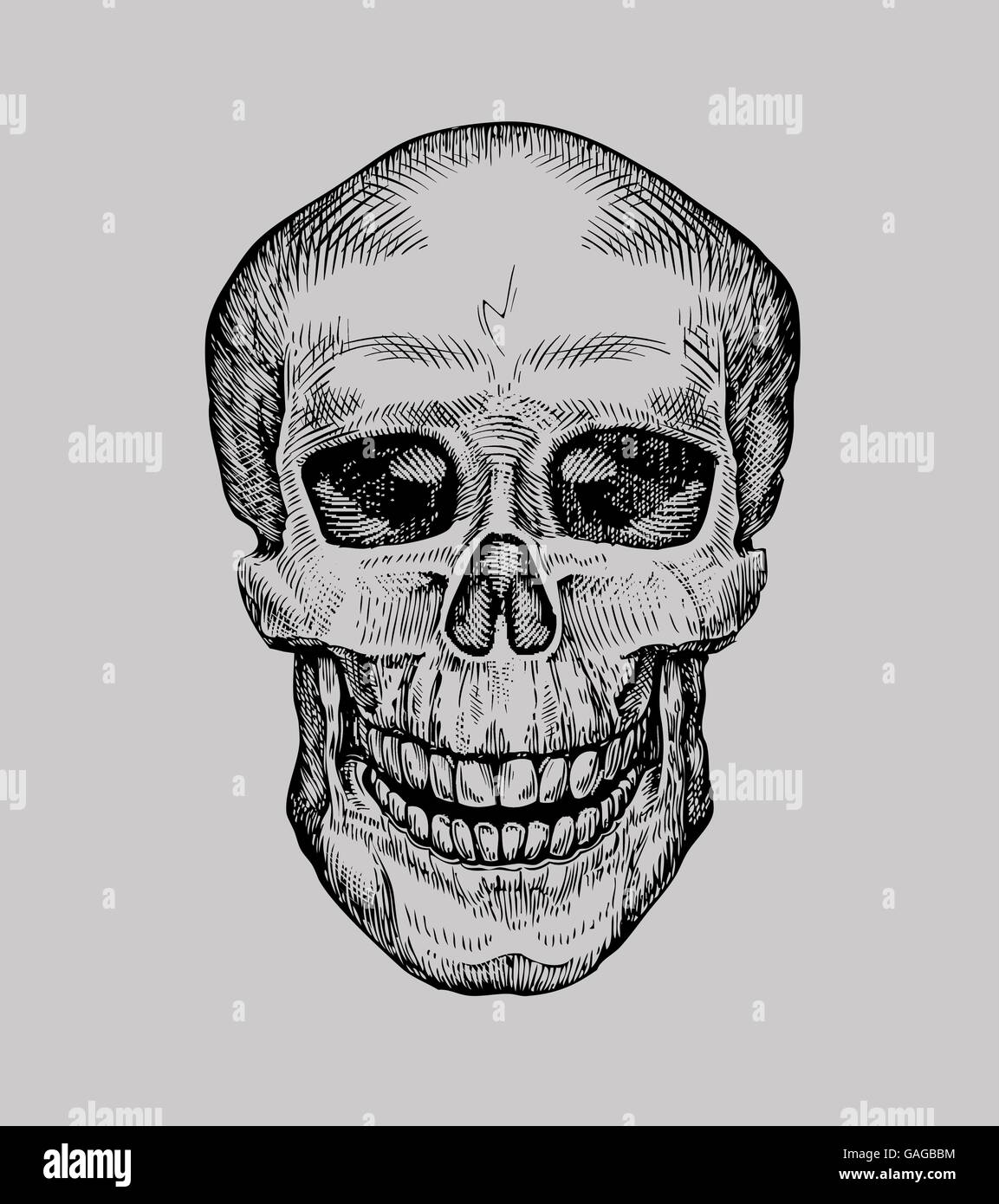 Cranio umano. Disegnata a mano Jolly Roger. Schizzo morte o zombie illustrazione vettoriale Illustrazione Vettoriale
