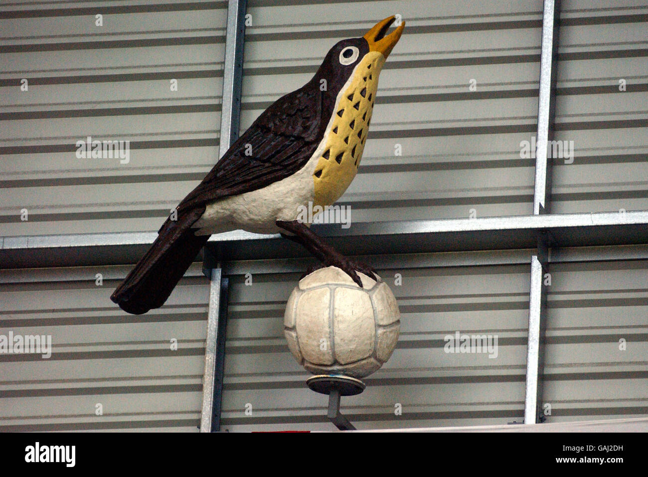 Calcio - fa Barclaycard Premiership - West Bromwich Albion / Sunderland. Throstle, West Bromwich Albion Foto Stock