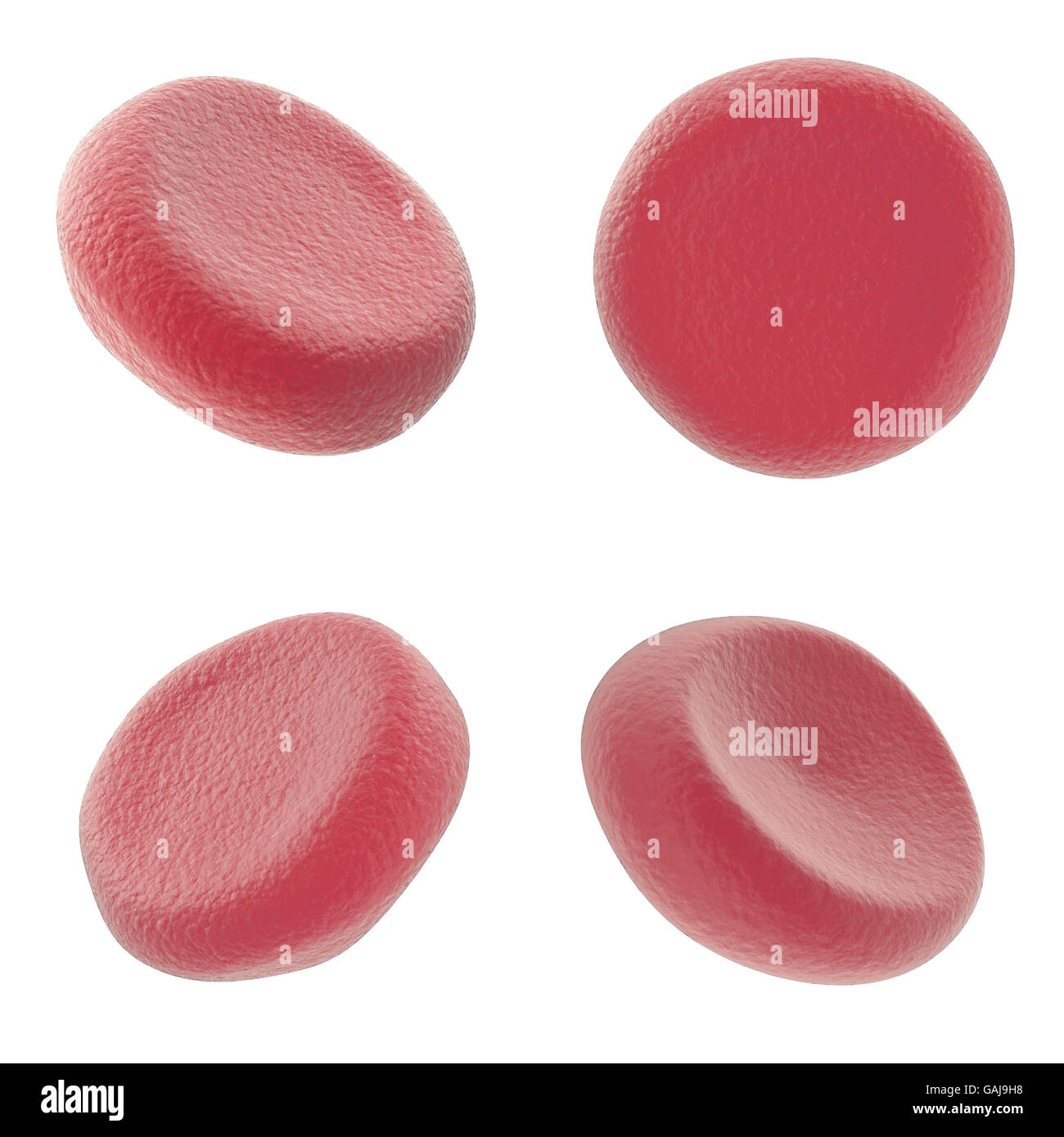 Set di cellule di sangue rosso isolato su sfondo bianco. 3d illustrazione di alta qualità Foto Stock