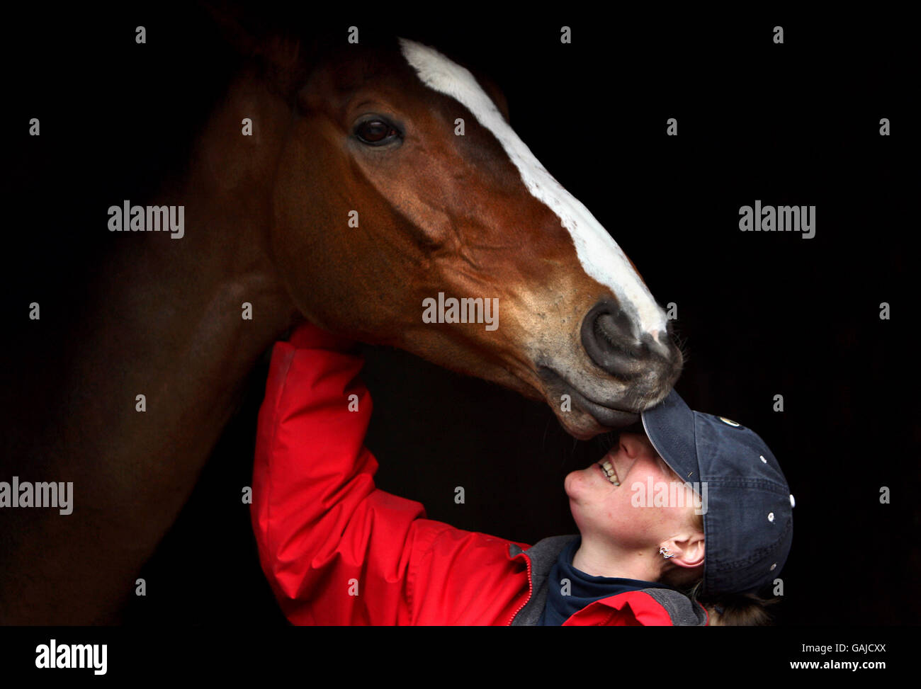 Corse di cavalli - Visita alle scuderie di Paul Nicholls - Ditcheat. Kauto Star con mano stalla Sonja Warburton a Paul Nicholls Stables a Ditcheat, Somerset. Foto Stock