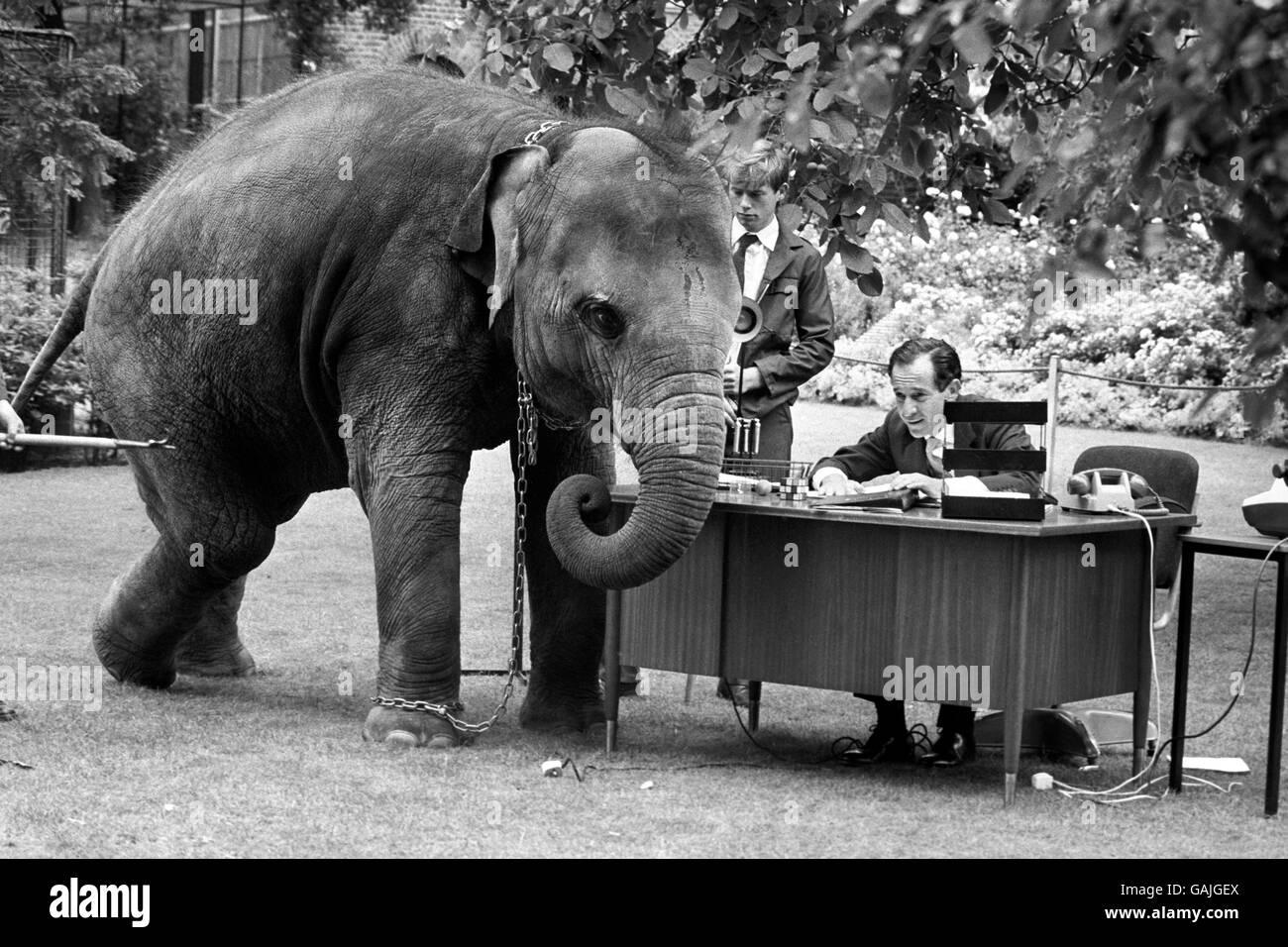 L'artista spagnolo mime Alberto Vidal riceve una visita da uno dei suoi nuovi amici allo Zoo di Londra. Il signor Vidal diventerà una delle mostre dello zoo quando ritrarre le abitudini quotidiane dell'uomo urbano. Foto Stock