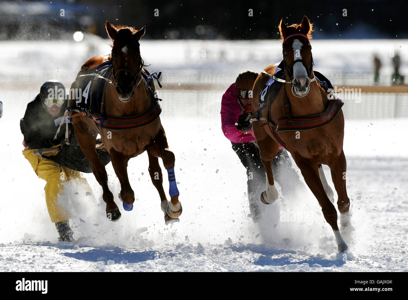 I cavalli corrono sul ghiaccio e sulla neve compattati sul lago ghiacciato a St Moritz il primo giorno di corse dei White Turf del 2008. Foto Stock