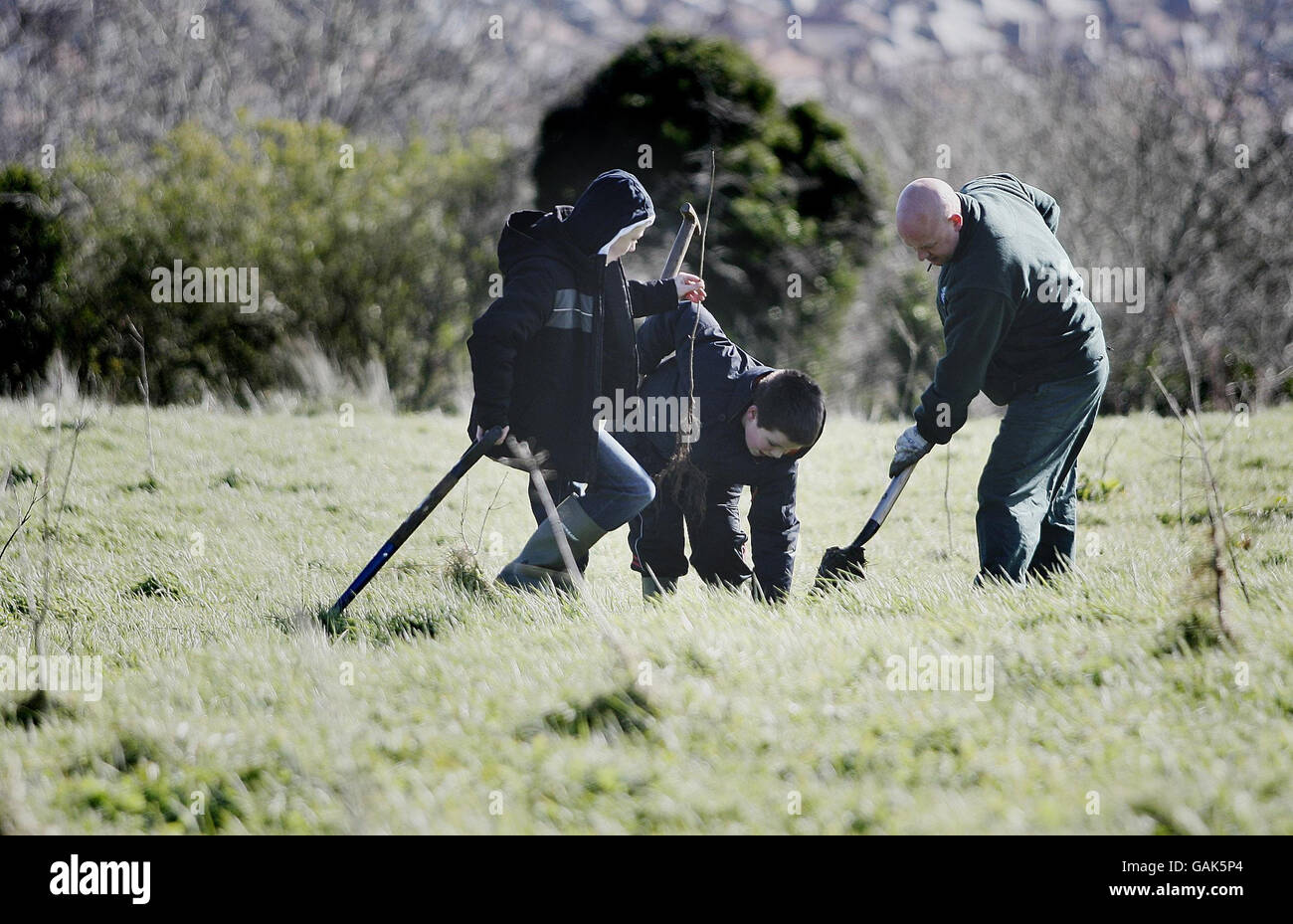 James Boves a sinistra, e Ryan Wickings dalla scuola primaria di Ballyslan aiutare Ian Glover da Belfast Castle Parks piantare 500 alberi nativi di quercia e frassino sulla montagna Cavehill che domina Belfast. Foto Stock