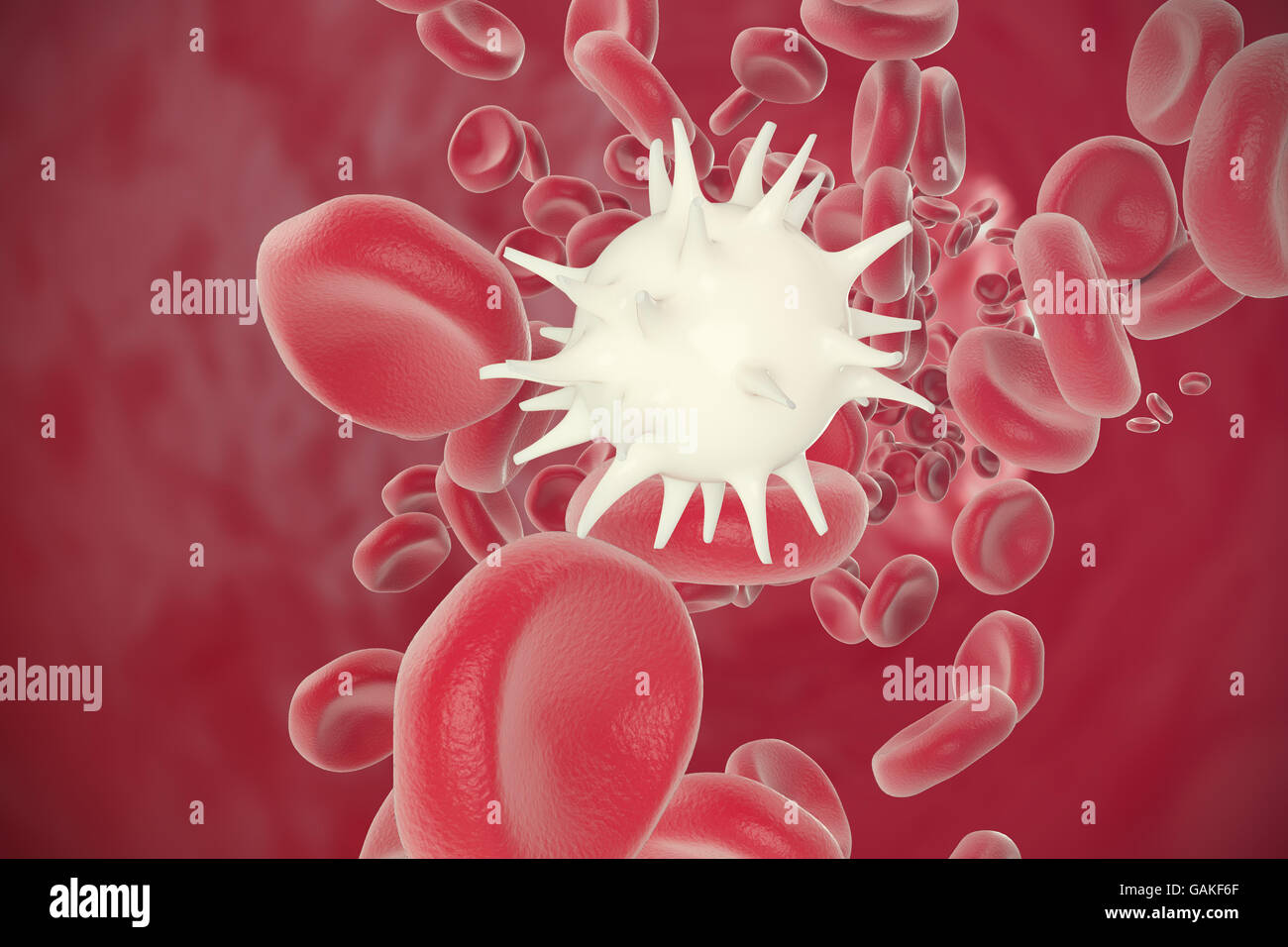 Rosso e bianco di cellule del sangue in movimento in vasi. 3d illustrazione Foto Stock