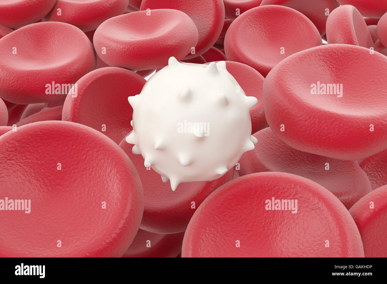 Globuli bianchi il medico o sfondo microbiologica. 3d illustrazione Foto Stock