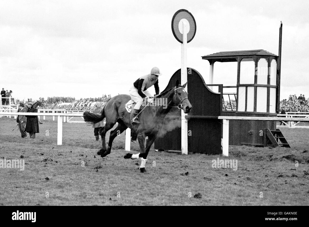 Corse di cavalli - Il Grand National - Eglinton Foto Stock