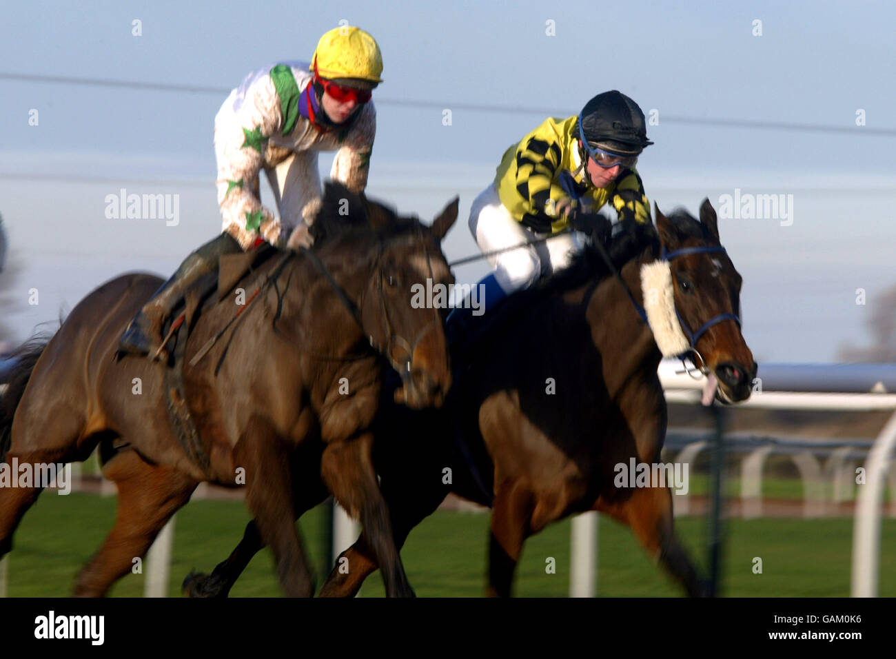 Re Priam (r) guidato da Luca Fletcher e pianure bianche (l) guidato da Lee Enstone lo combatti per il piombo Foto Stock