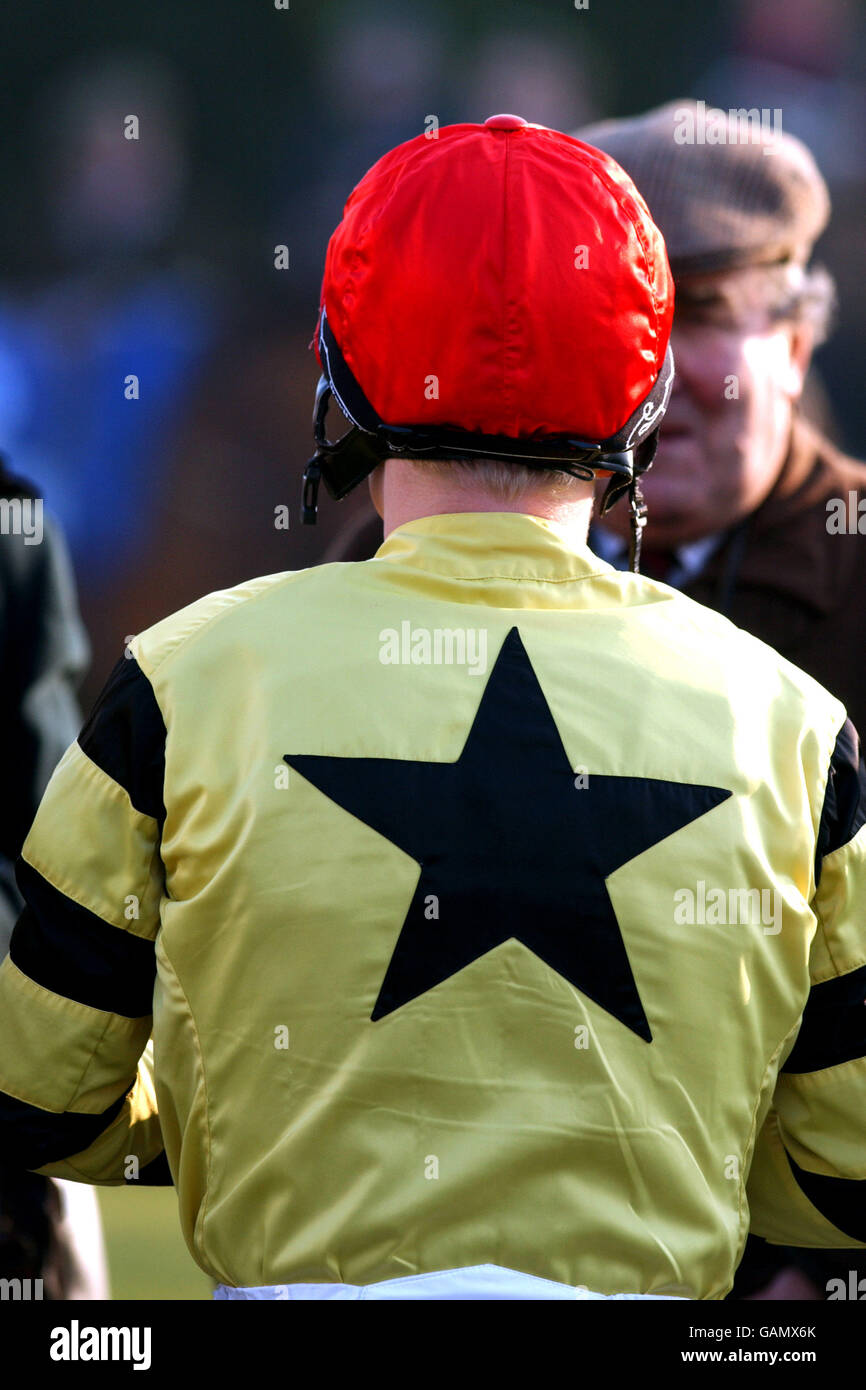 Horse Racing - Gare di Kempton Foto Stock