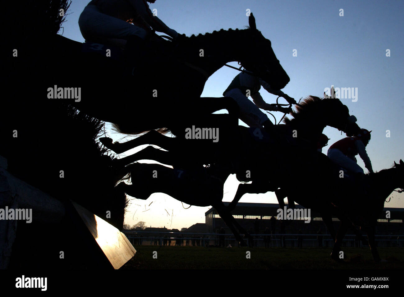 Horse Racing - Gare di Kempton Foto Stock