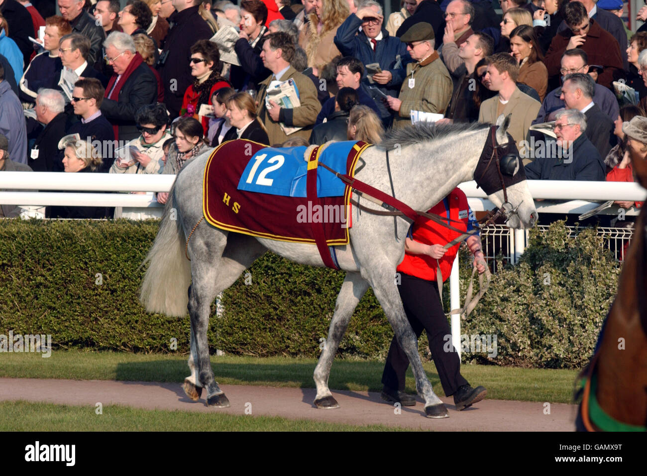 Corse ippiche - corse Kempton. Azione da Kempton Races Foto Stock