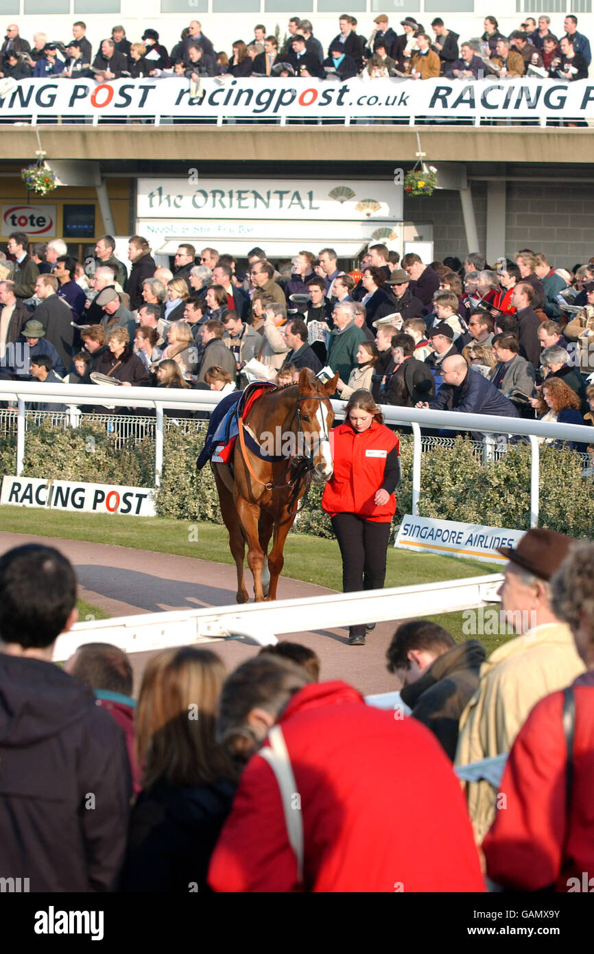 Corse ippiche, corse Kempton. Azione da Kempton Races Foto Stock