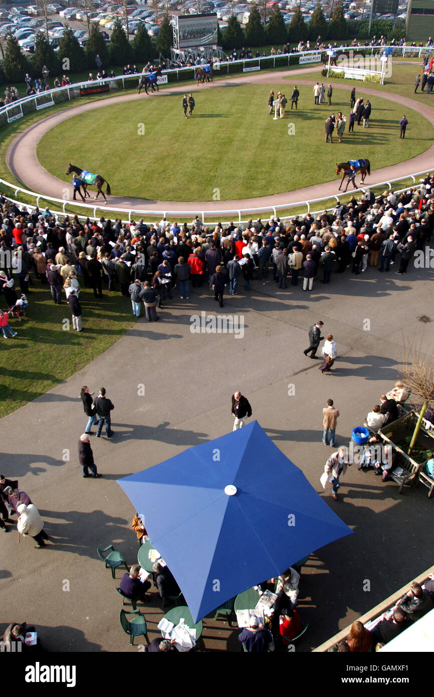 Horse Racing - Gare di Kempton Foto Stock