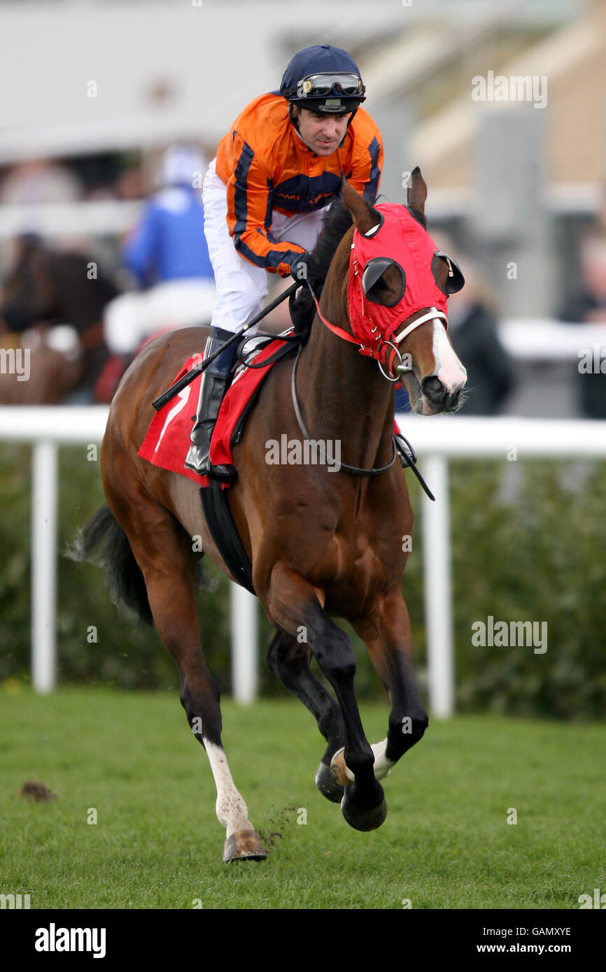 Doon Haymer guidato da Robert Winston nel Leger Way Handicap a Doncaster Foto Stock