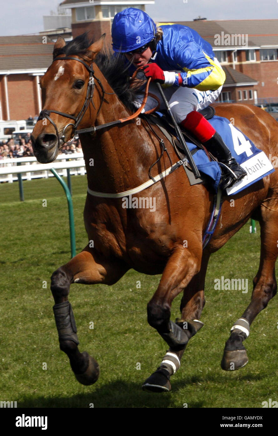 Jockey Robert Thornton riding Starzaan vincitore del futuro campione di Ashleybank Investments Novices' Chase durante il Coral Scottish Grand National Festival all'Ayr Racecourse, Ayr. Foto Stock