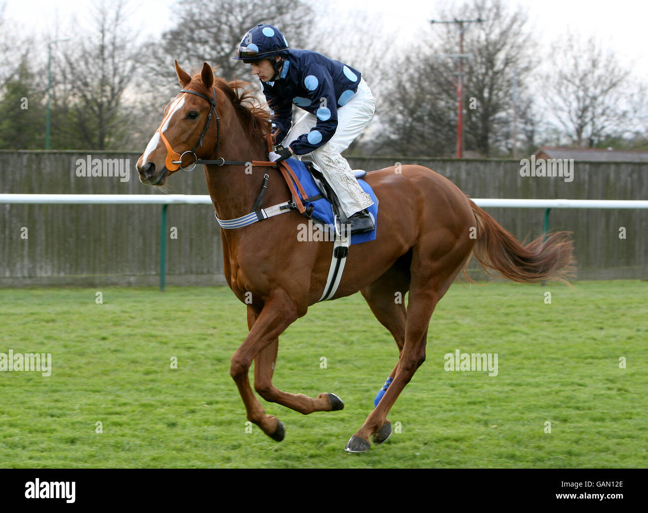 Maddalene guidato da Chris Catlin che va a postare prima di Il Paddocks