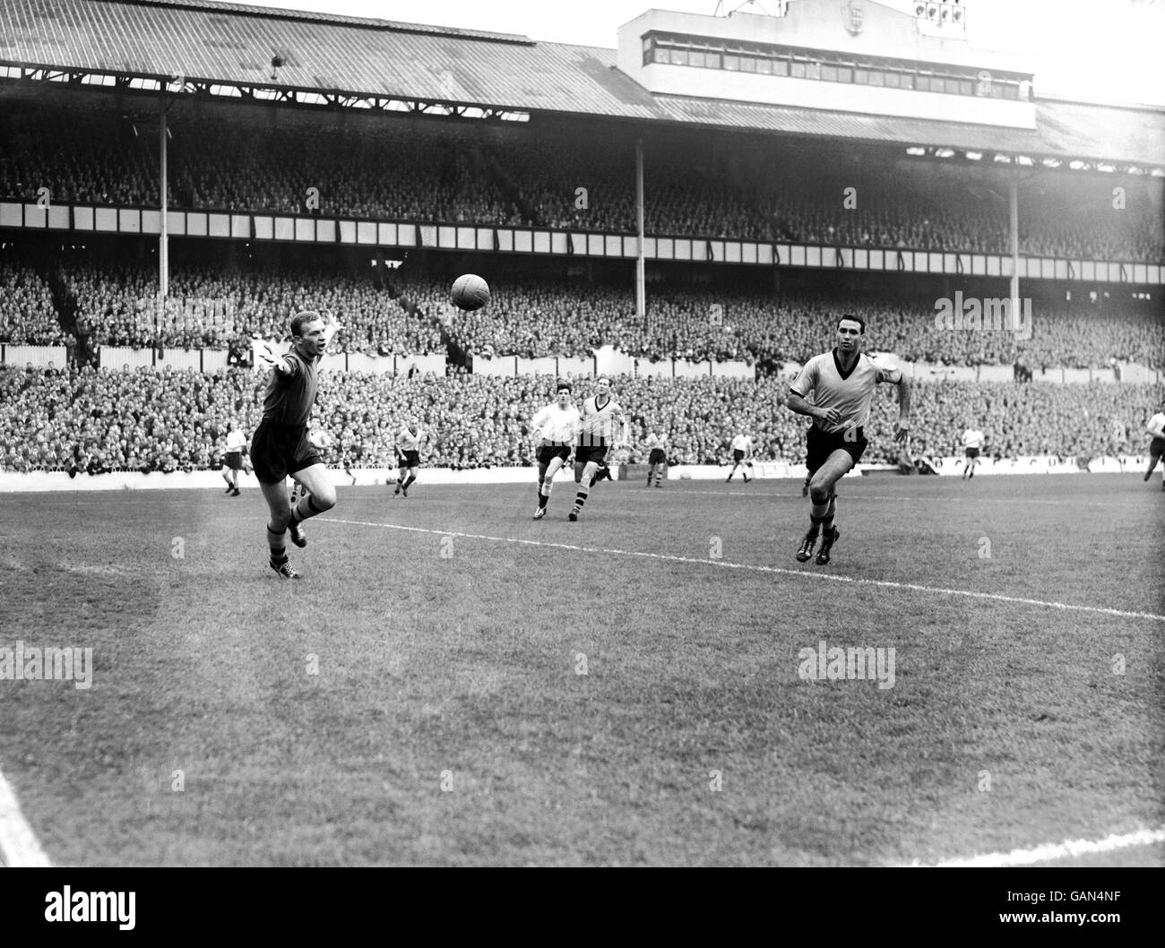 Calcio - Football League Division One - Tottenham Hotspur v Wolverhampton Wanderers Foto Stock