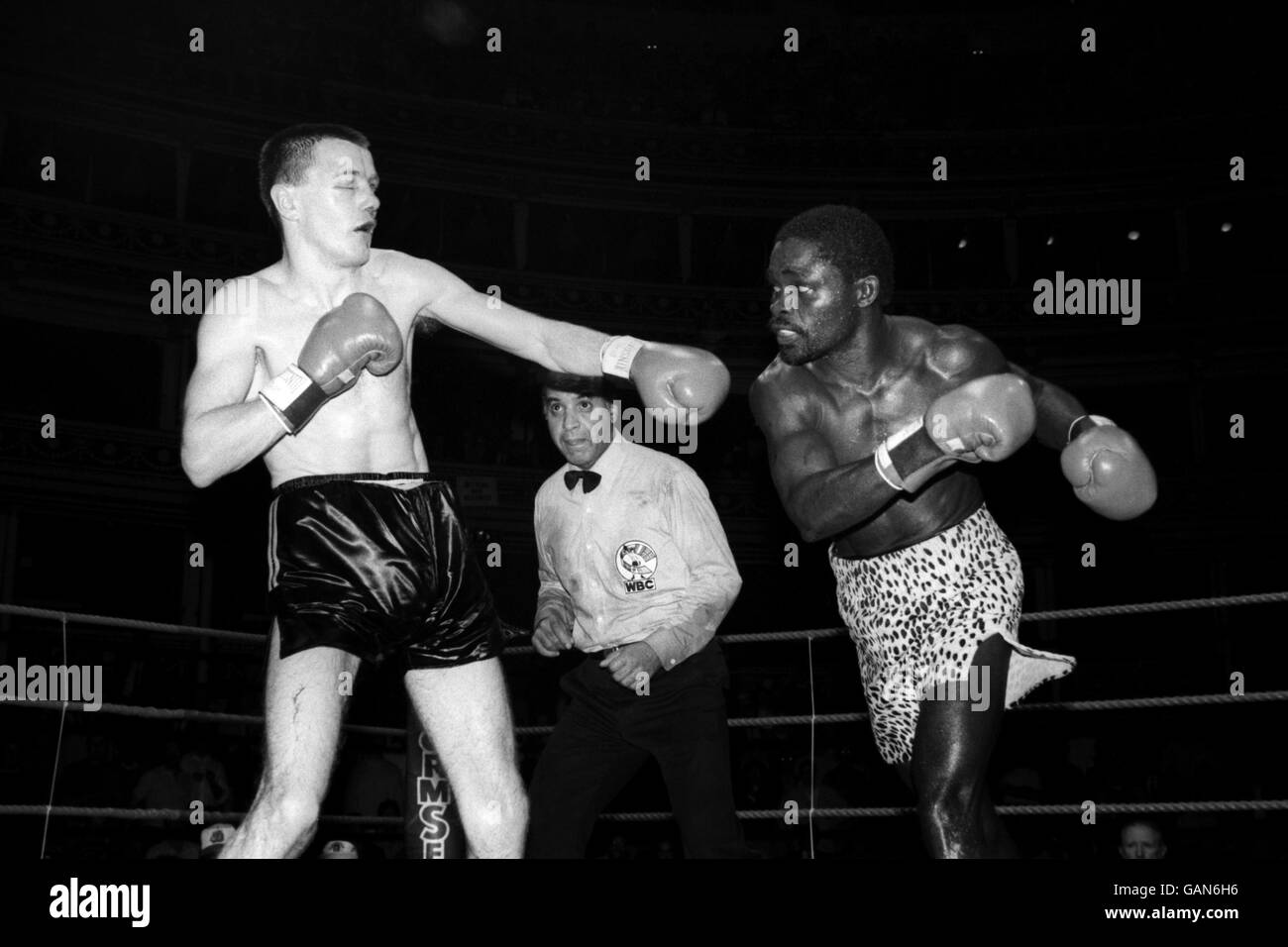 Pugilato - WBC Super Featherweight Championship - Azumah Nelson contro Jim McDonnell. Il campione in carica Azumah Nelson (r) acrobora Jim McDonnell (l) con un'altra mano destra precisa Foto Stock