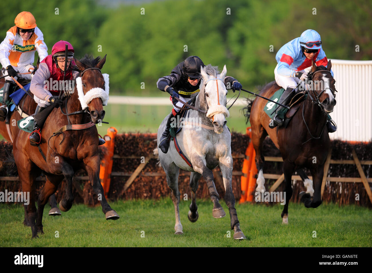 Horse Racing - Towcester Foto Stock