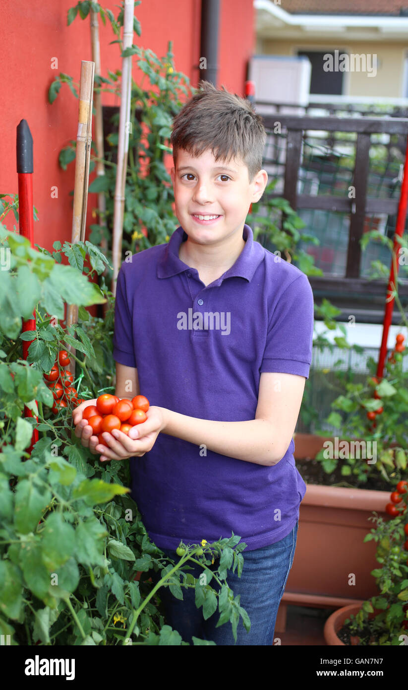 Ragazzo nel suo giardino urbano con pomodori nella pianta vaso sul terrazzo della casa Foto Stock