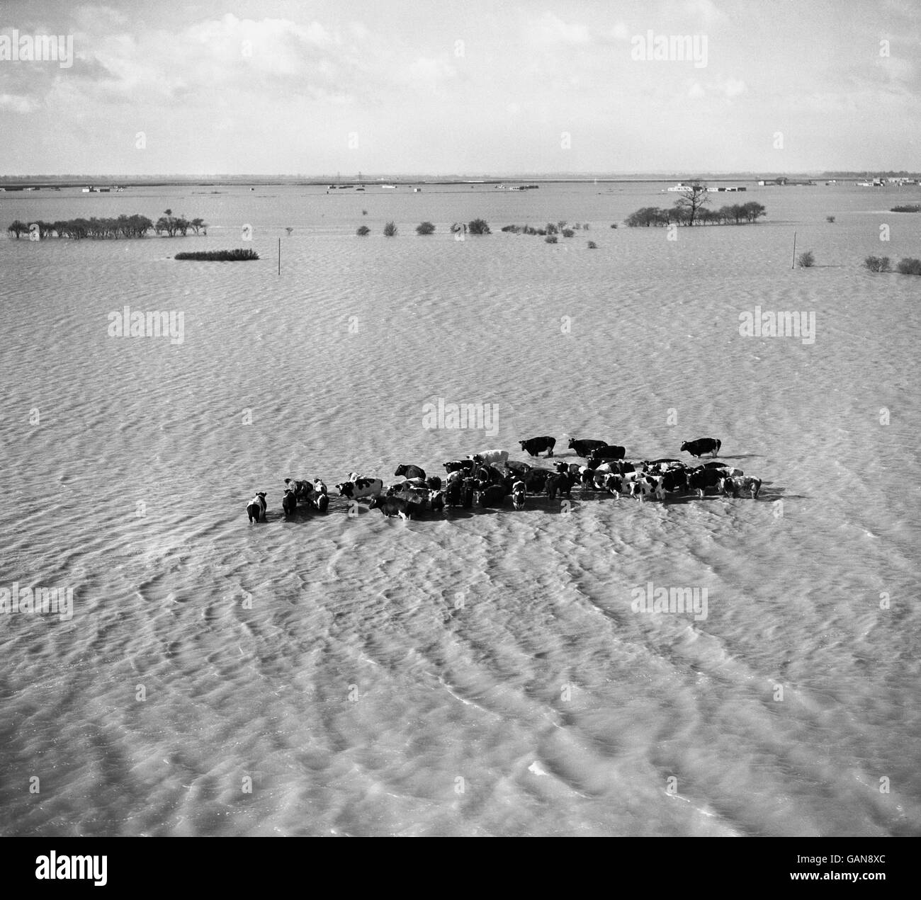 Meteo - grandi alluvioni del 1953 Foto Stock