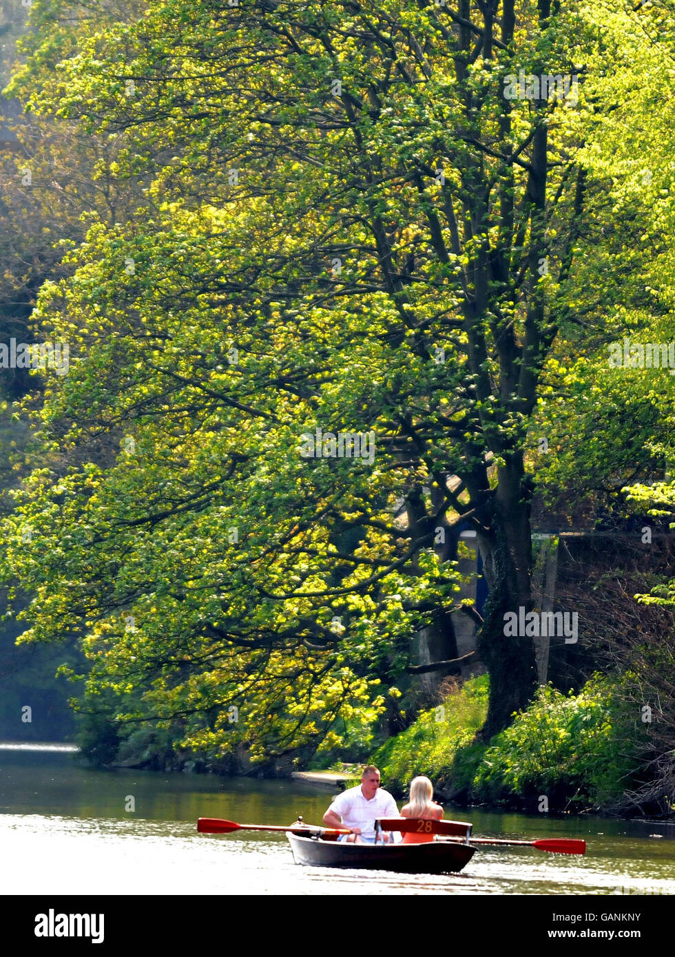 I bagnanti godono del calore sulle barche a Durham mentre una mini onda di calore colpisce il paese. Foto Stock