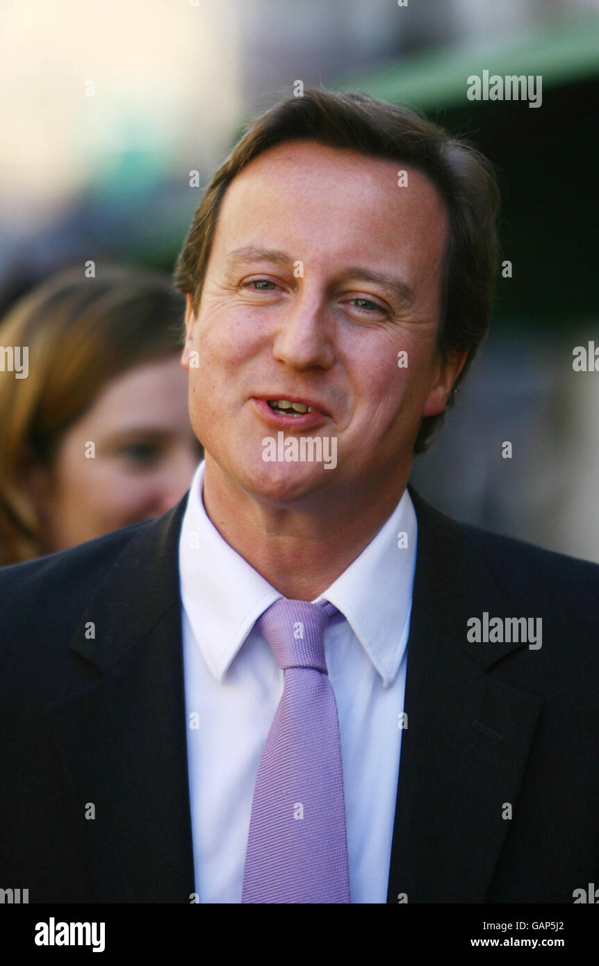 Il leader conservatore David Cameron durante una passeggiata nel centro commerciale Priory Meadow, mentre in una visita a Hastings in East Sussex. Foto Stock