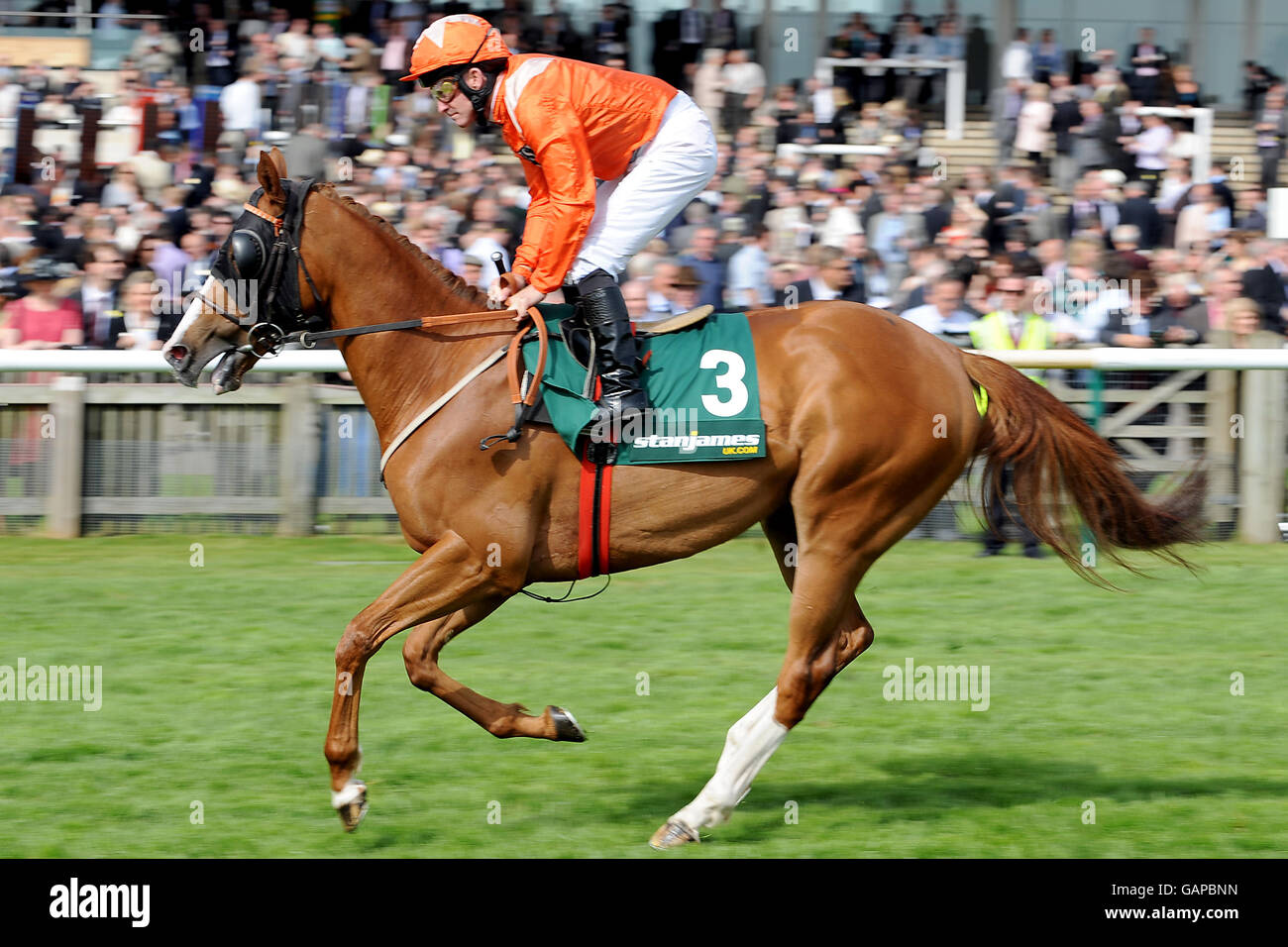 Horse Racing - StanJamesUK Guinea Festival - Day One - Newmarket Racecourse Foto Stock