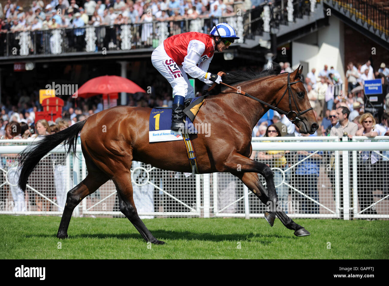 Corse di cavalli - totesport.com Chester Cup Day - Day Two - Chester Racecourse - The Halifax handicap Stakes. Tutti gli assi ridden da Philip Robinson in Bank of America Chester Vase Foto Stock