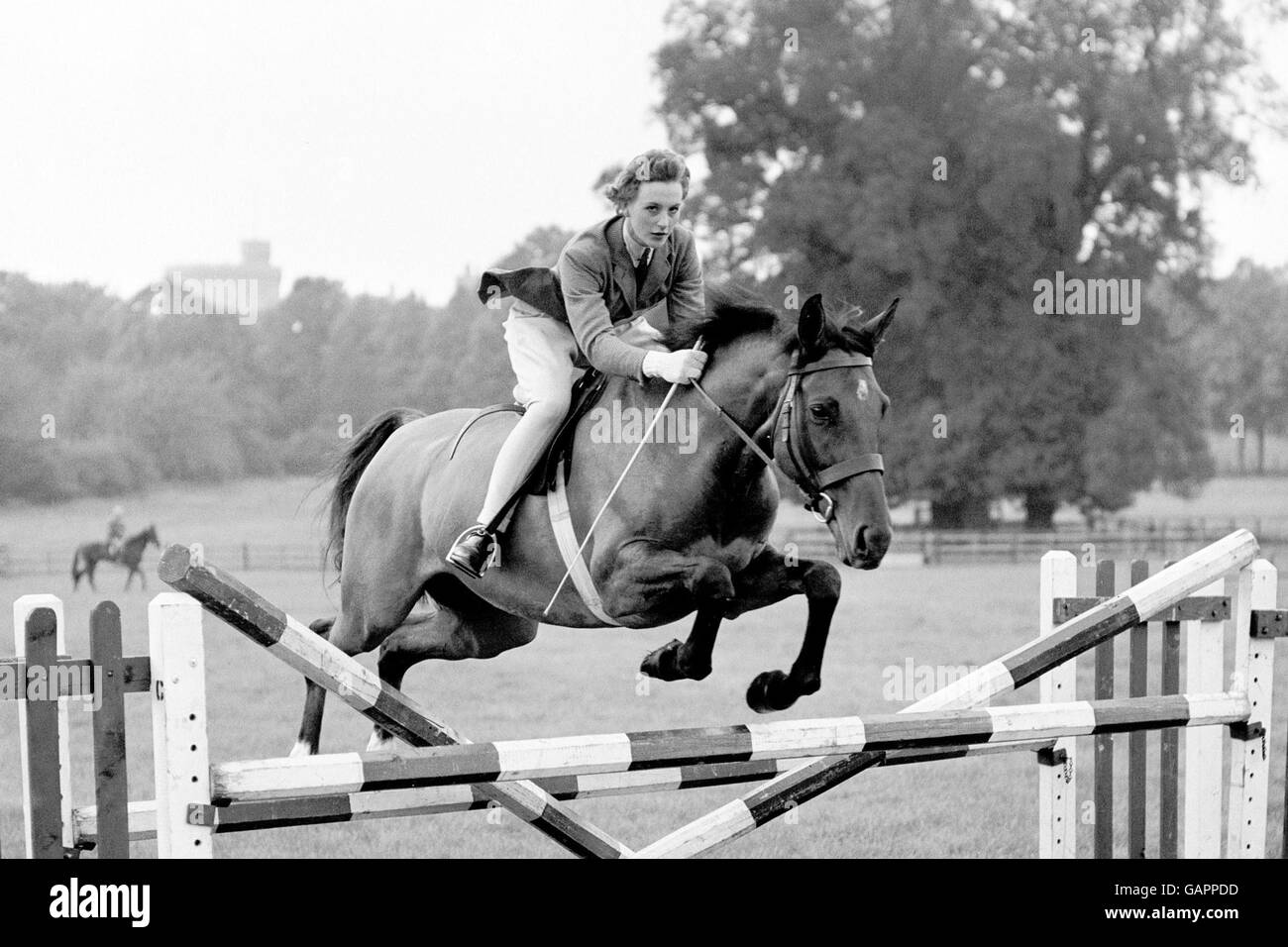 Ippica - European Horse Trials Foto Stock