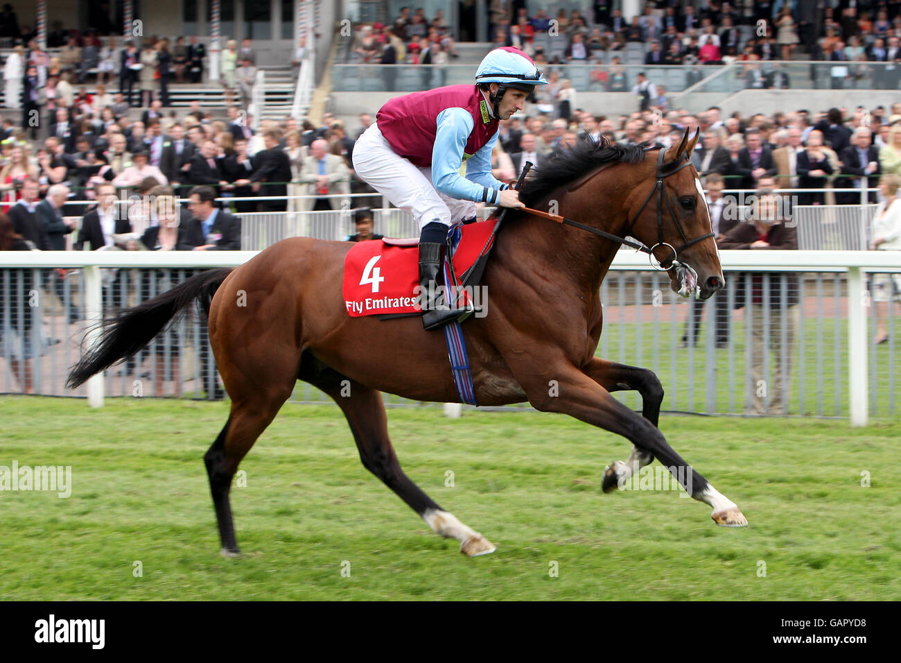 Regale e regale guidato dal fantino Neil Callan compete in La Emirates Airline Yorkshire Cup all'ippodromo di York Foto Stock