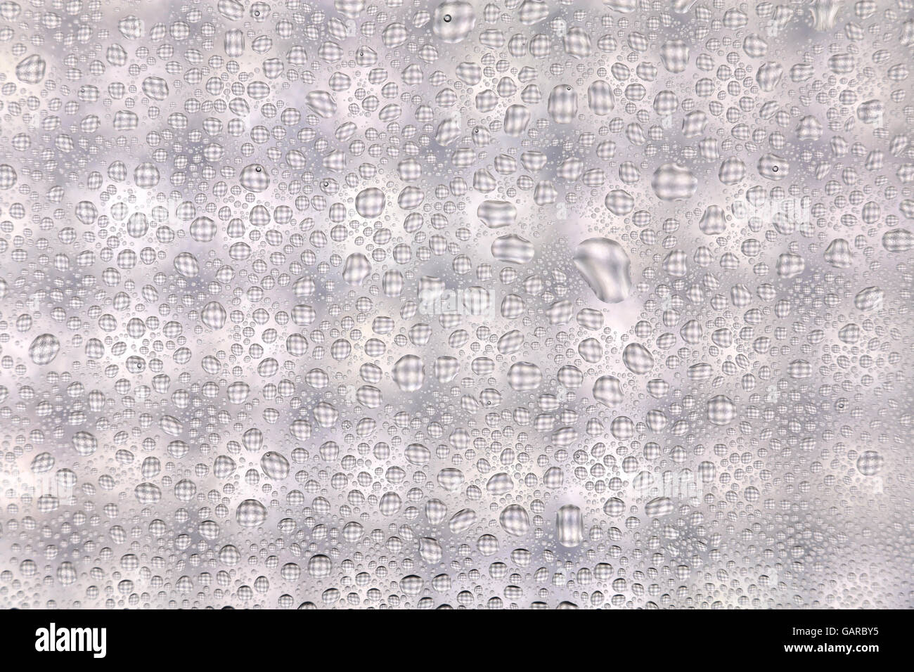 Goccia di rugiada texture bianche su sfondo chiaro Foto Stock
