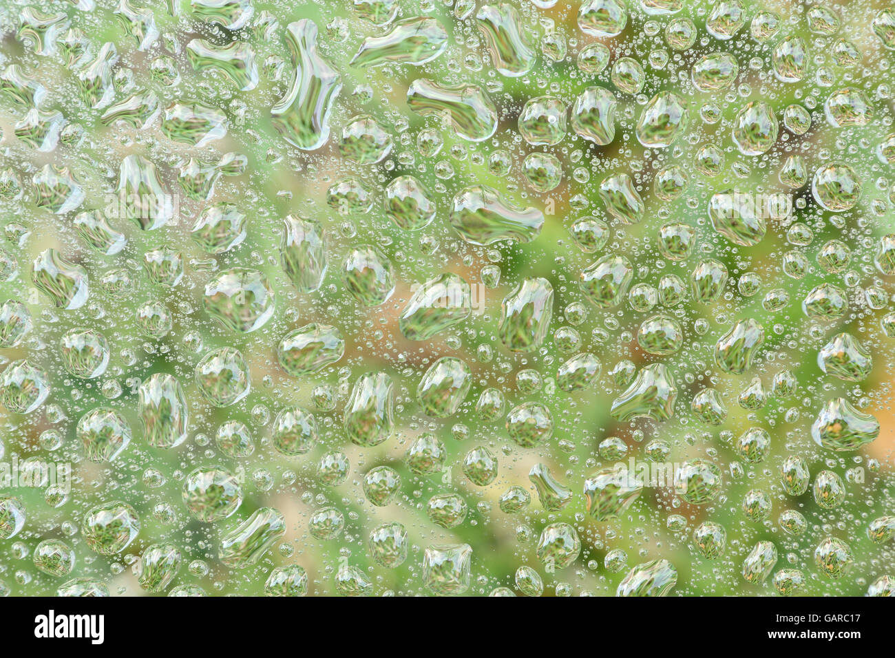 Goccia di rugiada texture naturali su sfondo verde Foto Stock