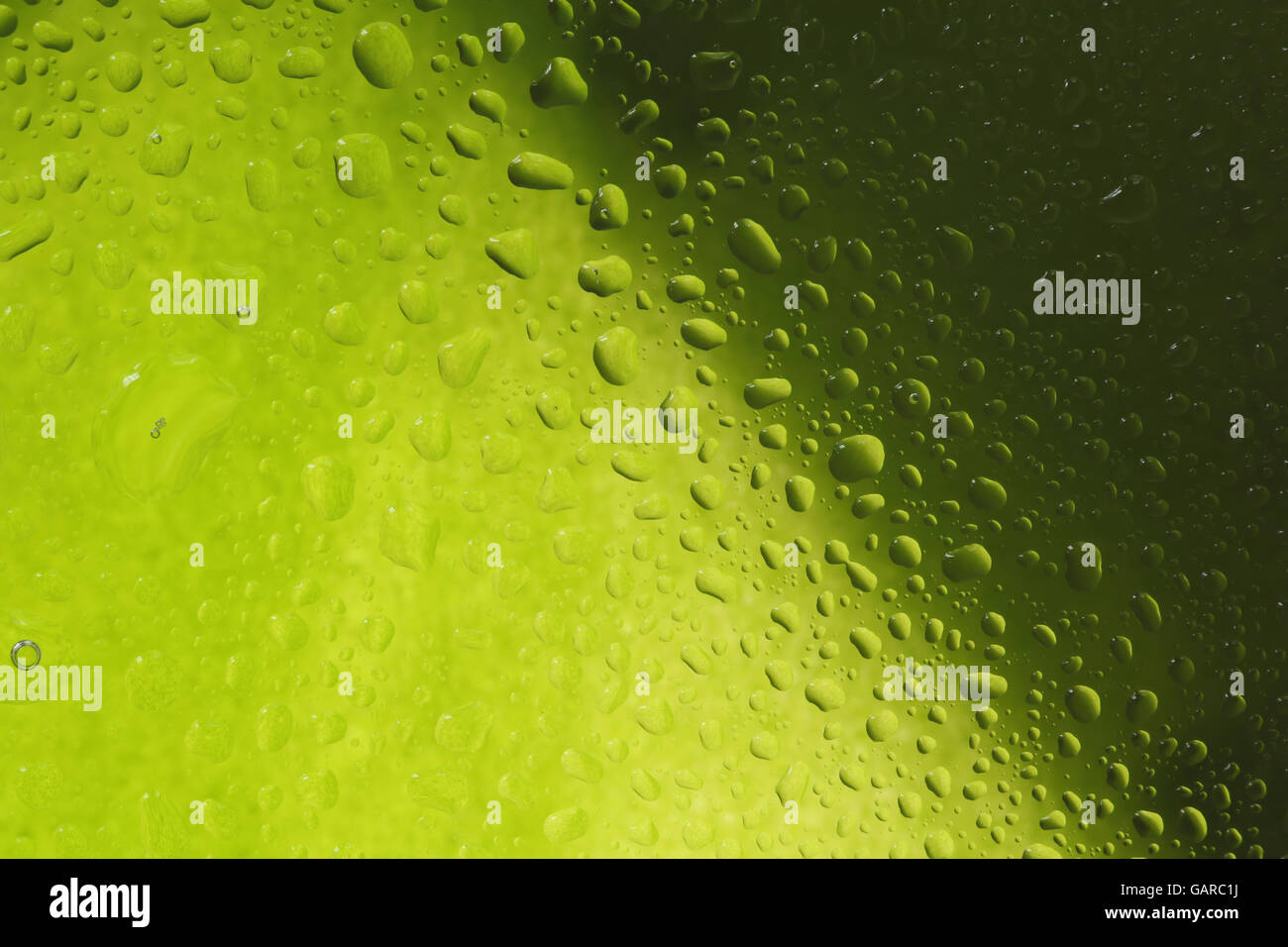 Goccia di rugiada texture verde su sfondo chiaro Foto Stock