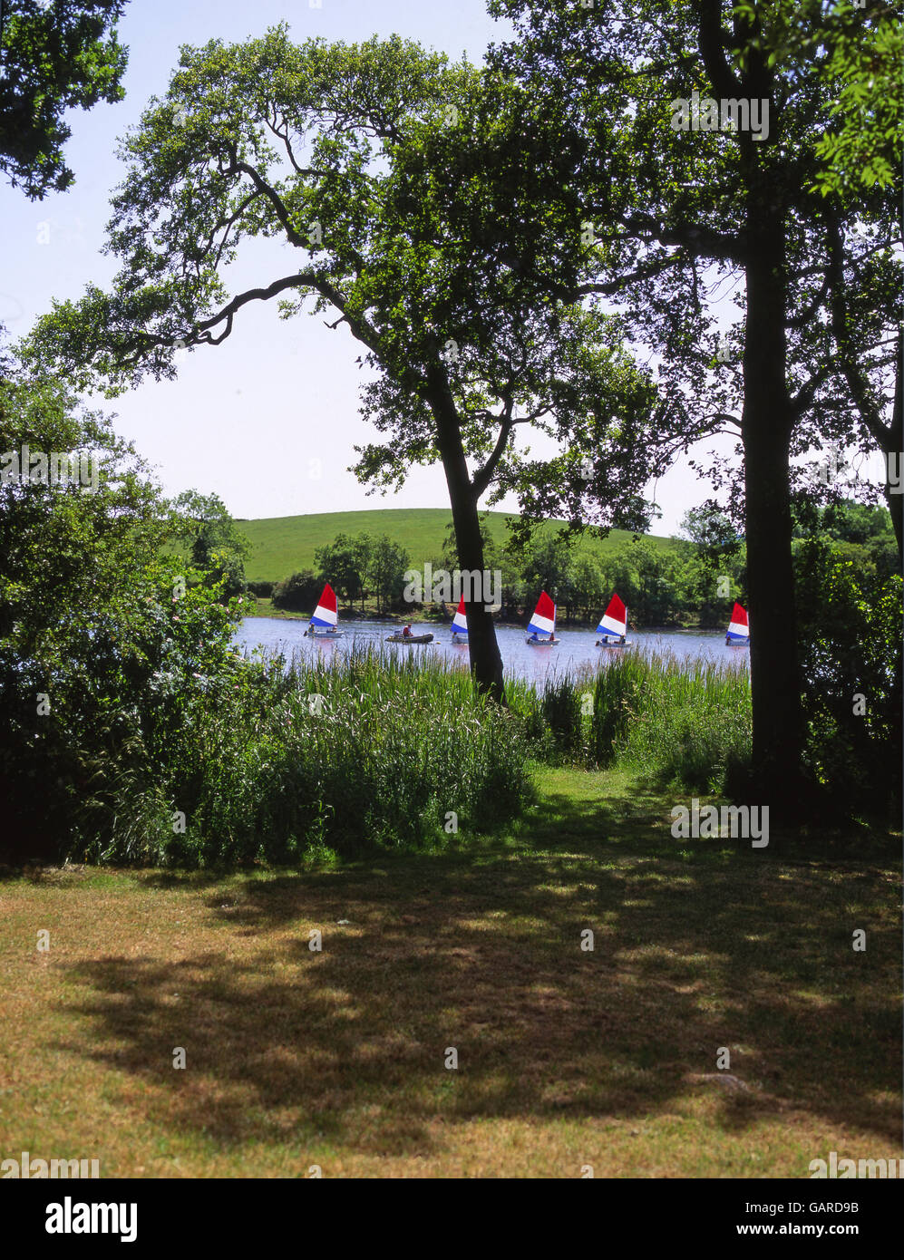 Carlingwark Loch vicino a Castle Douglas, Dumfries & Galloway. Foto Stock