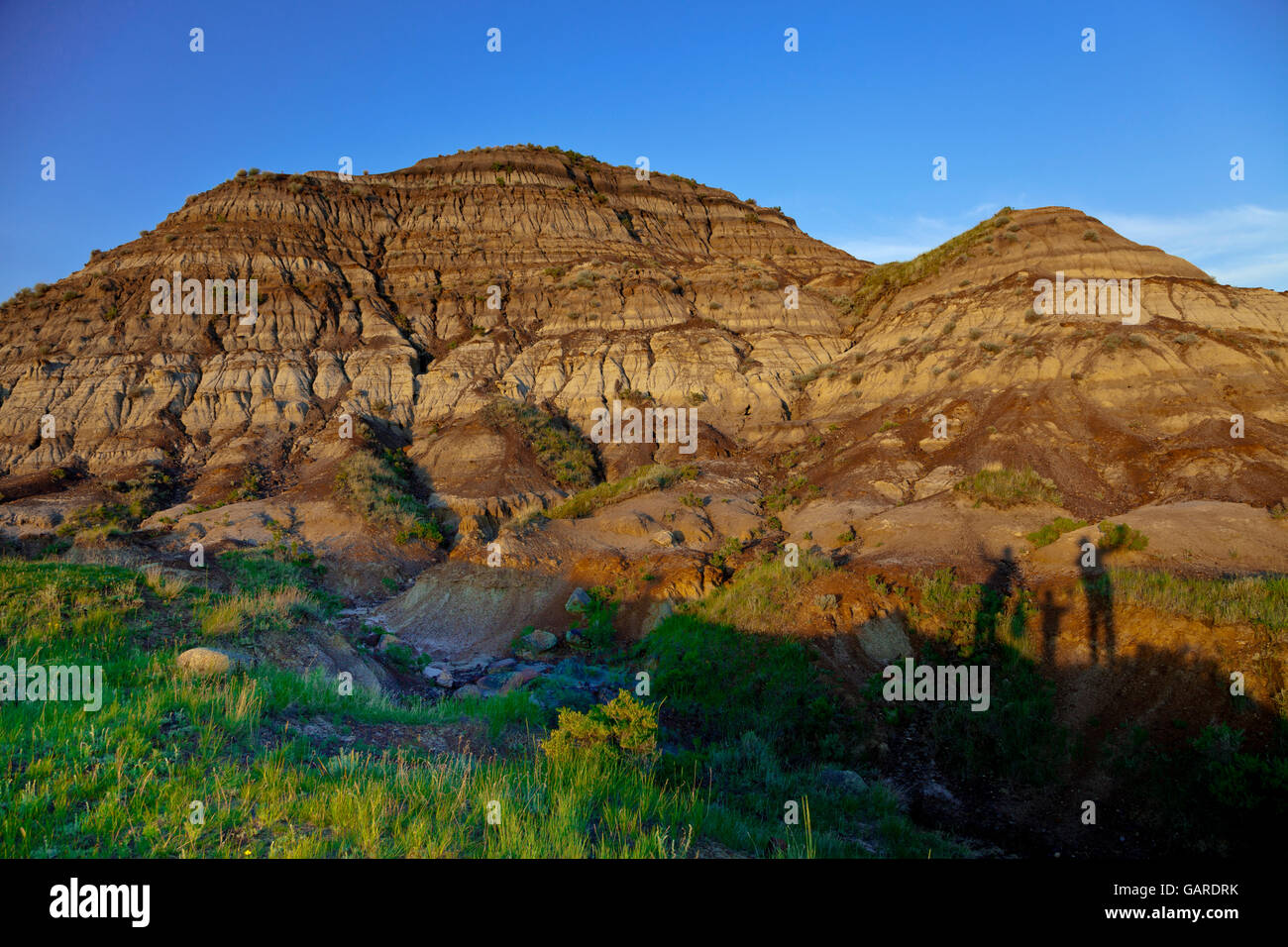 Il Royal Tyrrell Museum of Palaeontology di Drumheller Foto Stock