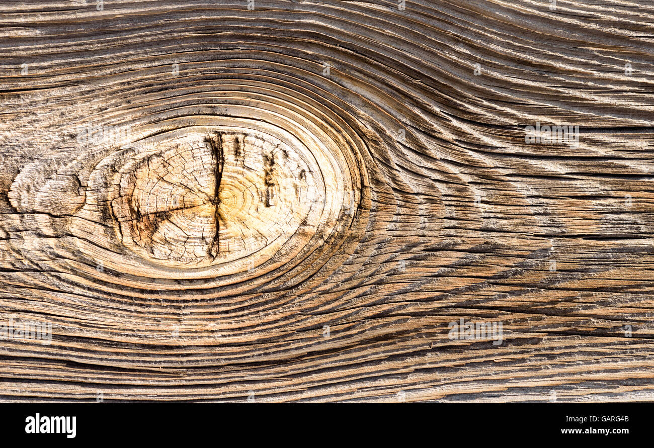 Grandi macro closeup molto di un vecchio nodo in weathered legno invecchiato Foto Stock