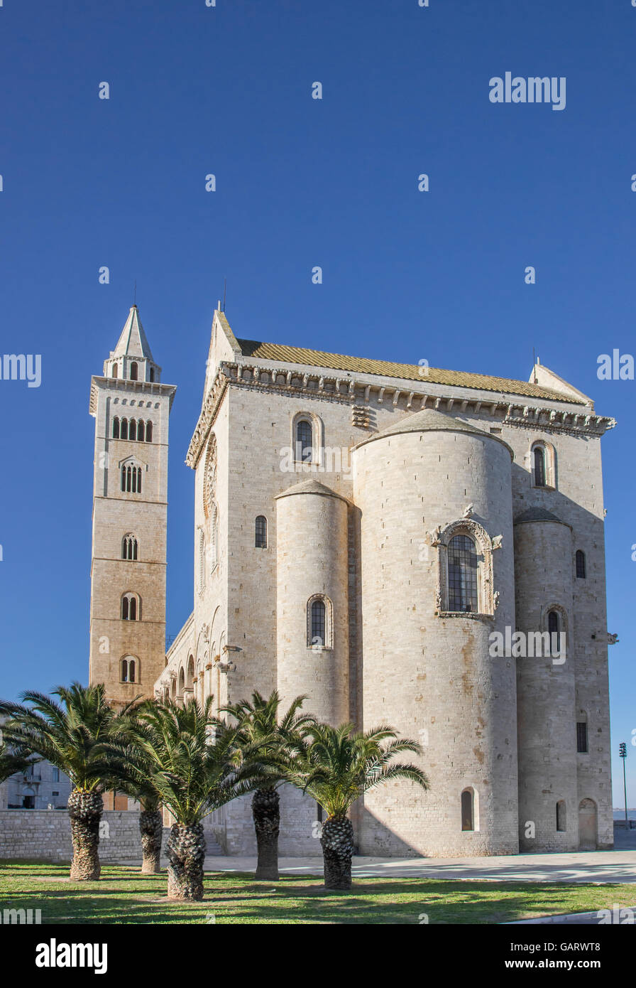 Cattedrale di Trani, Italia, con palme davanti Foto Stock