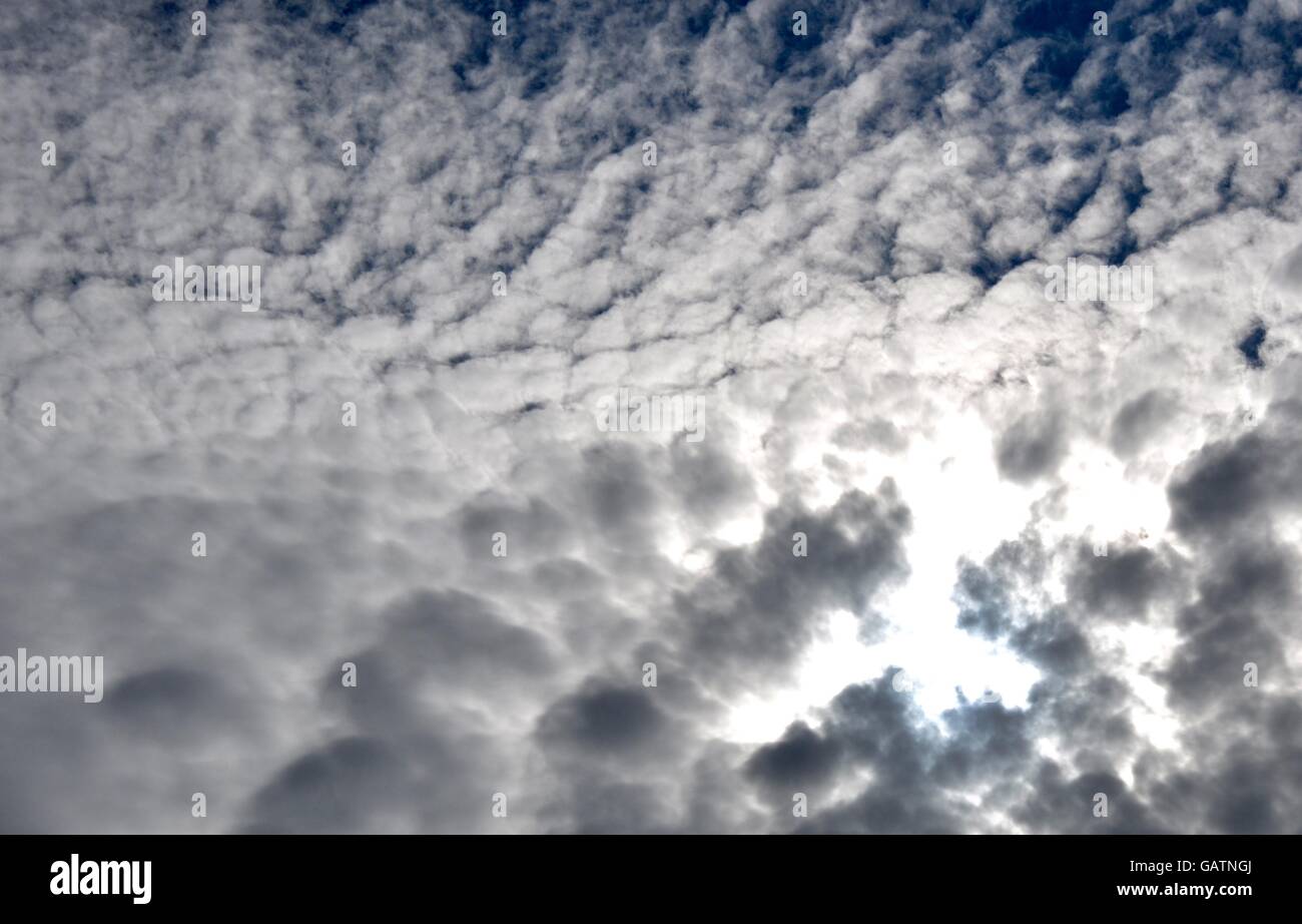 Cloudscape con spessa nube testurizzata copertura contro un soleggiato cielo blu sullo sfondo nelle zone costiere del Western Australia. Foto Stock
