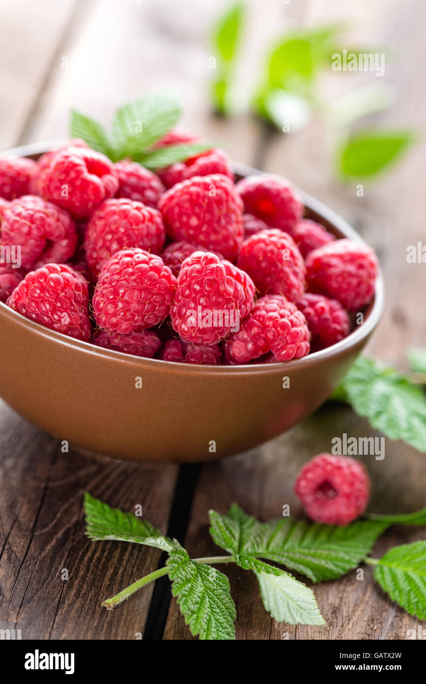 lampone Foto Stock