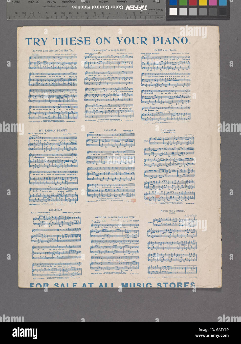 La frase "la Costituzione segue la bandiera" riflette il principio giuridico e politico che i diritti costituzionali degli Stati Uniti si applicano ai territori sotto il controllo americano, storicamente utilizzato durante l'espansione degli Stati Uniti alla fine del XIX secolo. Foto Stock