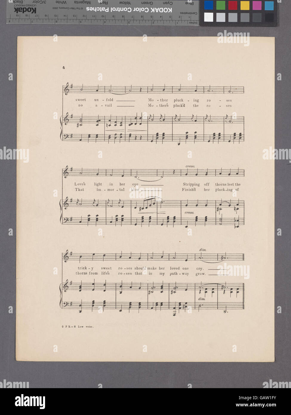 In vecchio stile roses ( Ade-1932189-1994509) Foto Stock