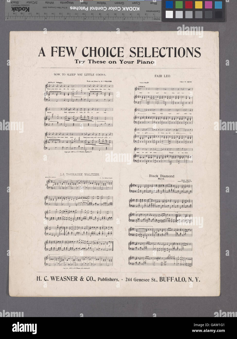 Questa immagine mostra rose in vecchio stile, conosciute per la loro bellezza classica e il fascino tradizionale. Il soggetto cattura l'eleganza senza tempo di questi fiori, spesso associati alla nostalgia e al ritorno a tempi più semplici. Foto Stock