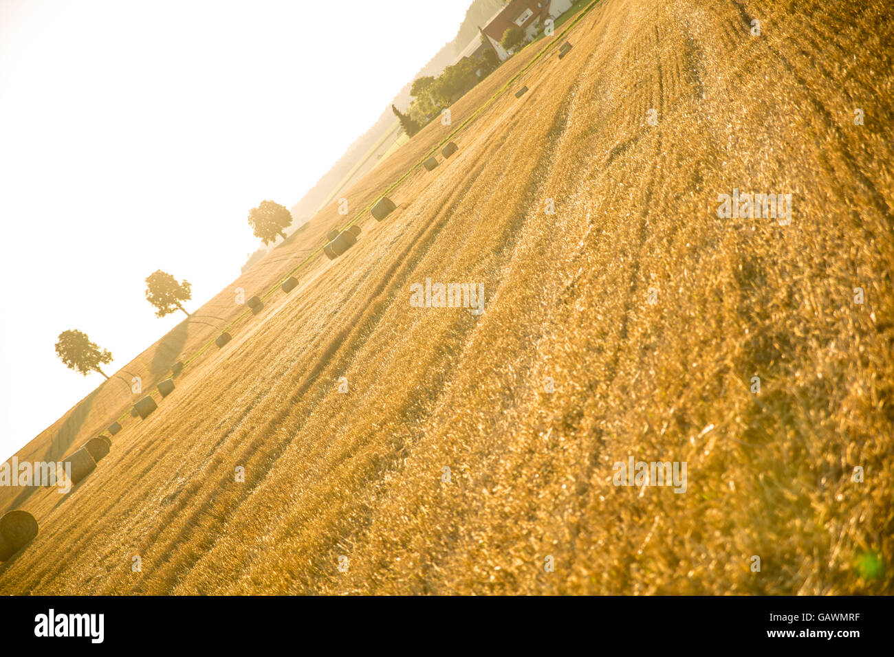 Sera dopo il raccolto in Baviera, Germania. Foto Stock