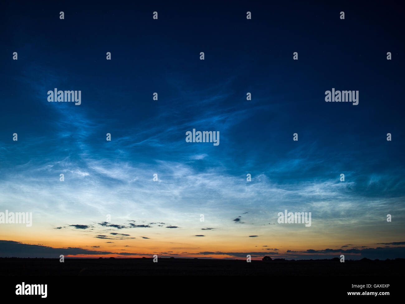 Sieversdorf, Germania. 5 Luglio, 2016. Poco prima di mezzanotte, cosiddetto noctilucent nuvole può essere visto nel cielo in Sieversdorf, Germania, 5 luglio 2016. Noctilucent nuvole può essere visto durante alcuni chiari notti estive in direzione nord come schermi di argento. Essi sono ad una altezza di circa 80-85 chilometri, sono costituiti da piccoli cristalli di ghiaccio e sono visibili quando il sole è compreso tra 6 e 16 gradi al di là dell'orizzonte. Quindi, noctilucent nuvole sono ancora illuminata dal sole mentre il cielo è già buio. Foto: Patrick Pleul/dpa/Alamy Live News Foto Stock