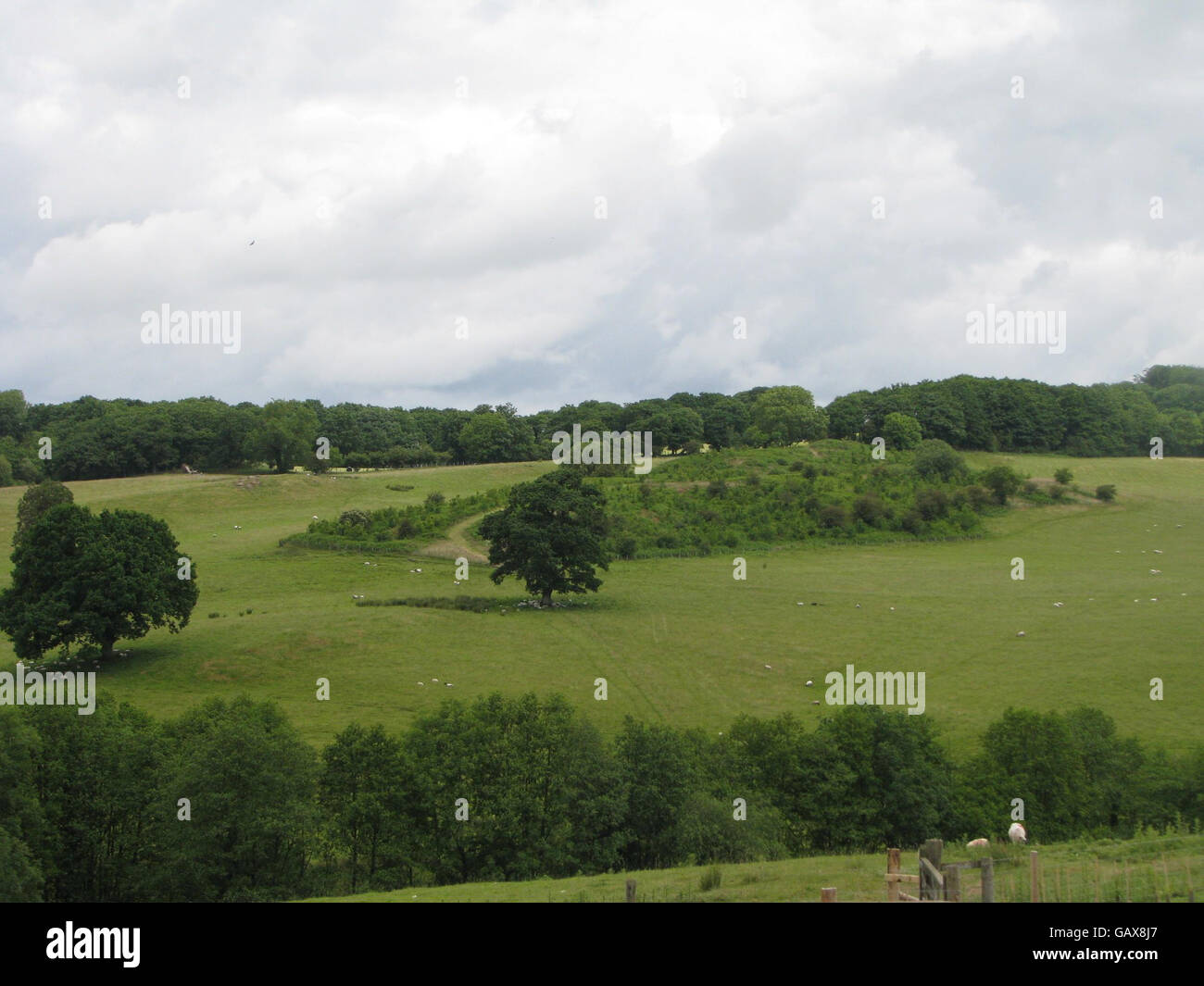 Una vista generale delle ondulate colline gallesi che circondano il Principe di Galles nuova proprietà colonica. La lunga linea ad albero segna il confine della tenuta, a Llwynywermod, vicino a Llandovery, Galles. Foto Stock