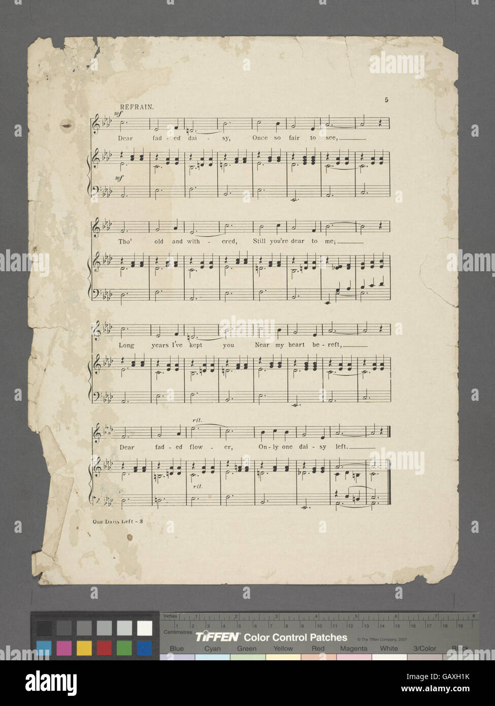 L'immagine "Only one Daisy Left" simboleggia la bellezza fugace e il passare del tempo. L'aereo Hades-610271 integra il tema del cambiamento e dell'impermanenza con la sua rappresentazione del movimento e della transizione. Foto Stock